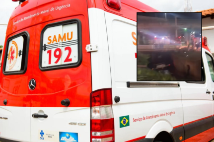 Reprodução