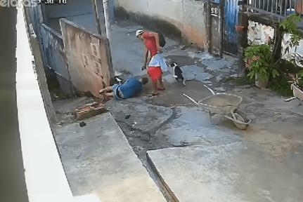 Reprodução