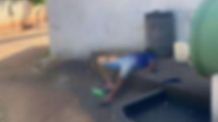Reprodução