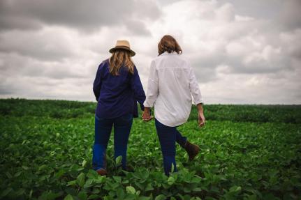 Divulgação Sicredi