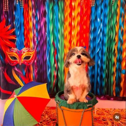 Divulgação/ Guapeco 