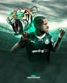 Reprodução/ Instagram @palmeiras