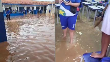 Reprodução