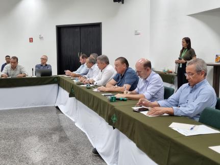 Divulgação