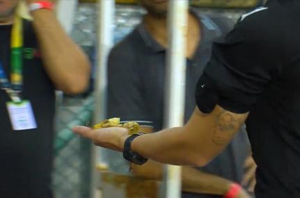Reprodução/Sportv via Estadão