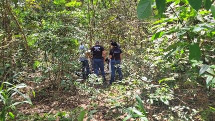 Reprodução/Terra MT Digital