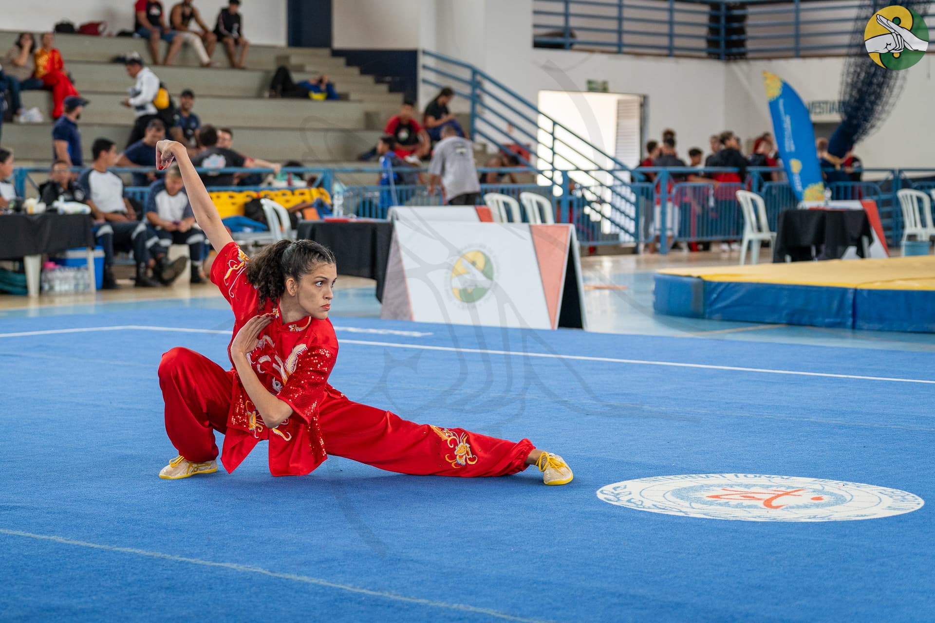 brenda silva kung fu