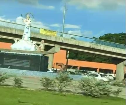 Reprodução Tik Tok