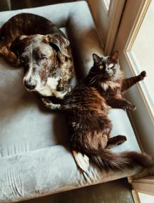 Madalyn Cox - Unsplash
