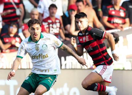 Cesar Greco/Palmeiras