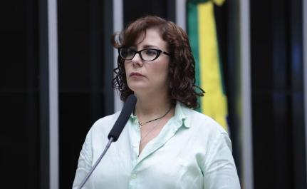 Zeca Ribeiro/Câmara dos Deputados