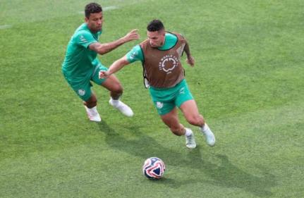 Cesar Greco/Palmeiras