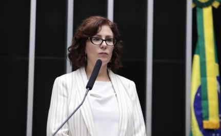 Zeca Ribeiro/Câmara dos Deputados