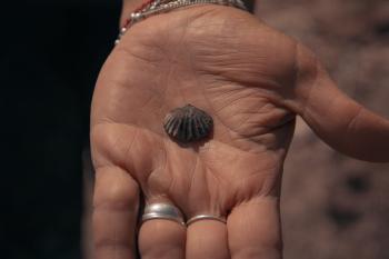 Caiubi Kuhn, pesquisa, f&oacute;sseis, paleontologia, descoberta, ufmt