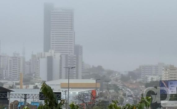 João Vieira