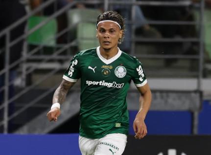 Cesar Greco/Palmeiras