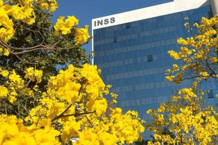 INSS/Divulgação