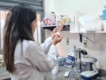 Pesquisas sobre sistema neurológico da UFMT 