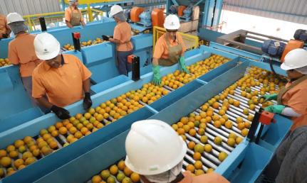 ARI DIAS/GOVERNO DO PARANÁ