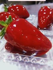 morango do amor 
