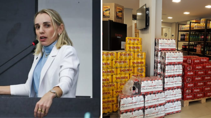 reprodução 