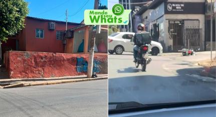 Reprodução