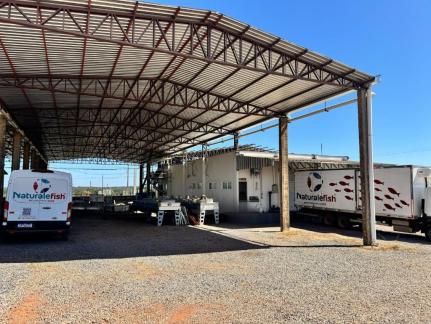 Clara Campos - Desenvolve MT