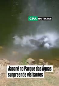 Reprodução CPA Notícias