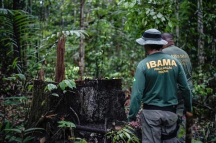 Felipe Werneck / Ibama 
