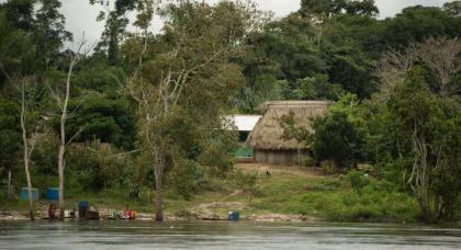 Attilio Zolin/ForestComunicação
