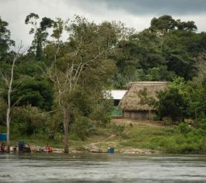 Attilio Zolin/ForestComunicação