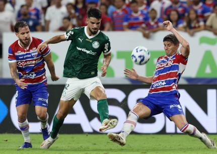 Cesar Greco/Palmeiras
