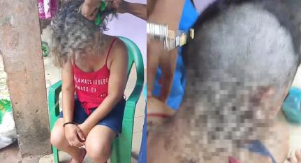 Reprodução