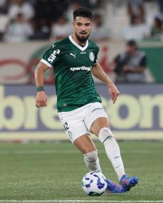 Cesar Greco/Palmeiras