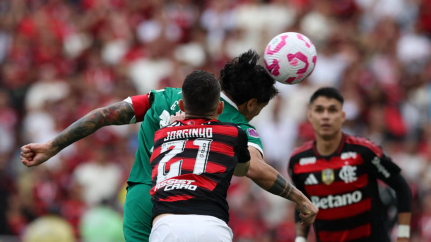 Cesar Greco/Palmeiras
