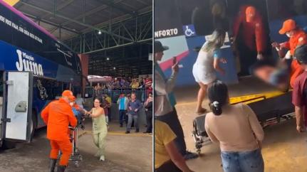 Reprodução