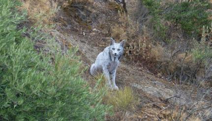 Reprodução/Instagram/angeliyo_o