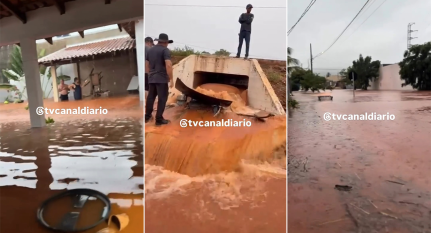 Reprodução/ TV Canal Diário