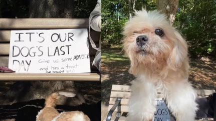 Reprodução/Instagram/@chellyshoots