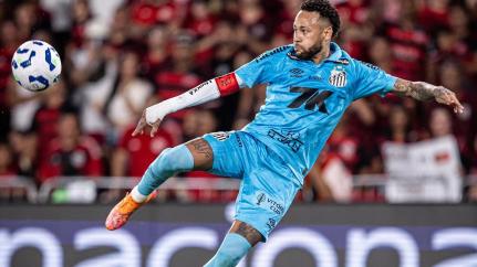 Raul Baretta/ Santos FC