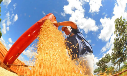 Prefeitura de Campo Grande/Divulgação