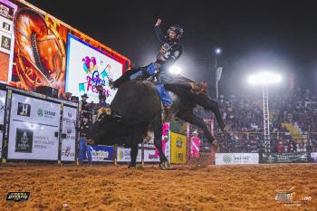 Rodeio Em Mato Grosso: Tradição, Movimentação Nas Cidades E Renda Para Famílias - Descubra Como! 3 rodeio boi beto projeto