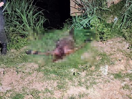 Reprodução Esportes e Noticias