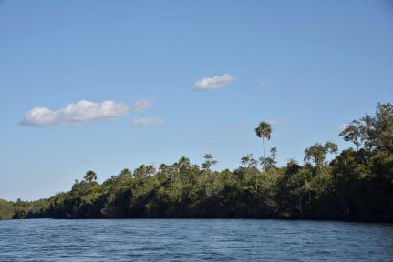 Edivaldo Lourival Mampuche