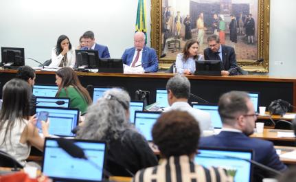 Renato Araújo / Câmara dos Deputados