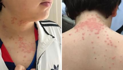 Tribunal Distrital dos Estados Unidos para o Oeste