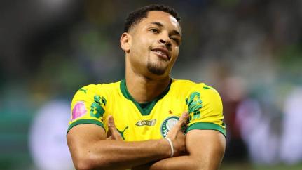 Cesar Greco/Palmeiras