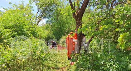 Theodora Malacrida/TV Vale Record