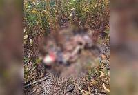 Reprodução/ Power Mix 