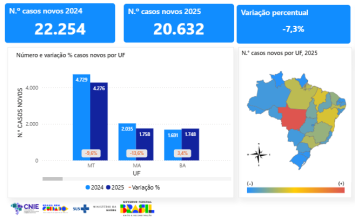 dados  Hansen&iacute;ase